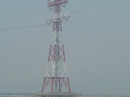 沙湖原种场电力铁塔案例